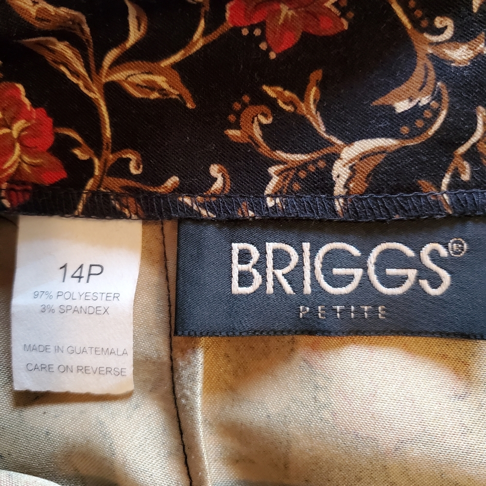 Briggs A-Line Skirt, size 14P - Picture 5 of 5